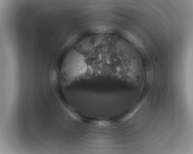 X0000111520165200907211231