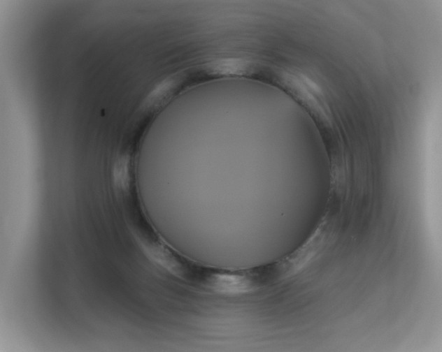 X0000111520167200907211231