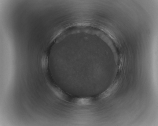 X0000111520168200907211231