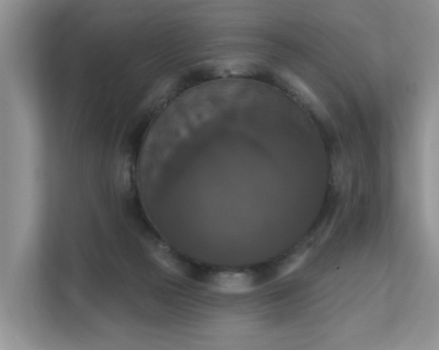 X0000111520169200907211231