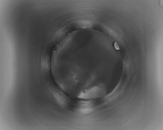 X0000111520170200907211231