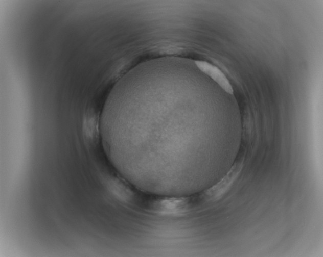 X0000111520172200907211231
