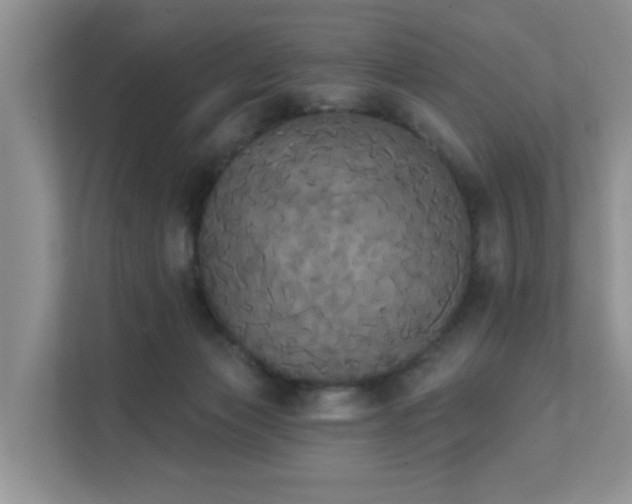 X0000111520173200907211231