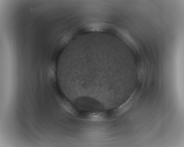 X0000111520175200907211231