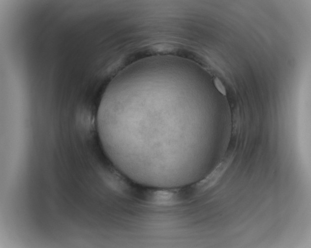 X0000111520176200907211231