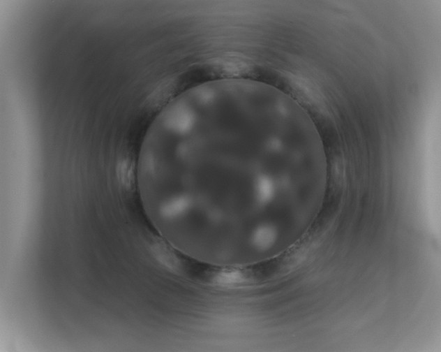 X0000111520177200907211231