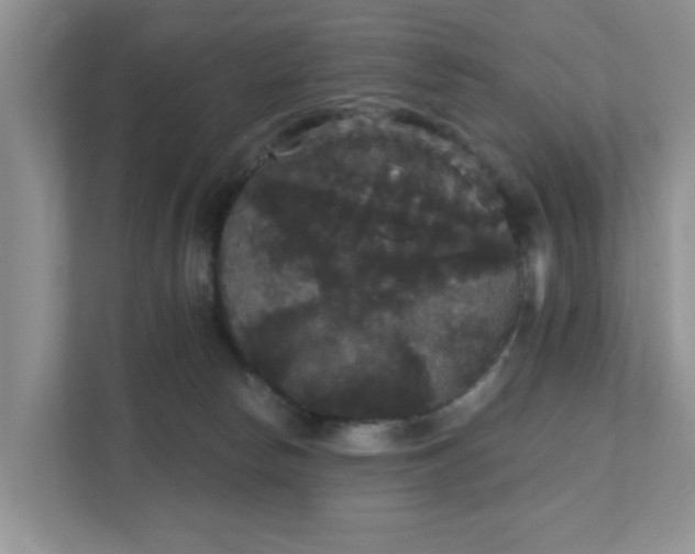 X0000111520178200907211231