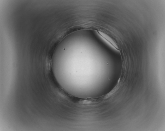 X0000111520180200907211231