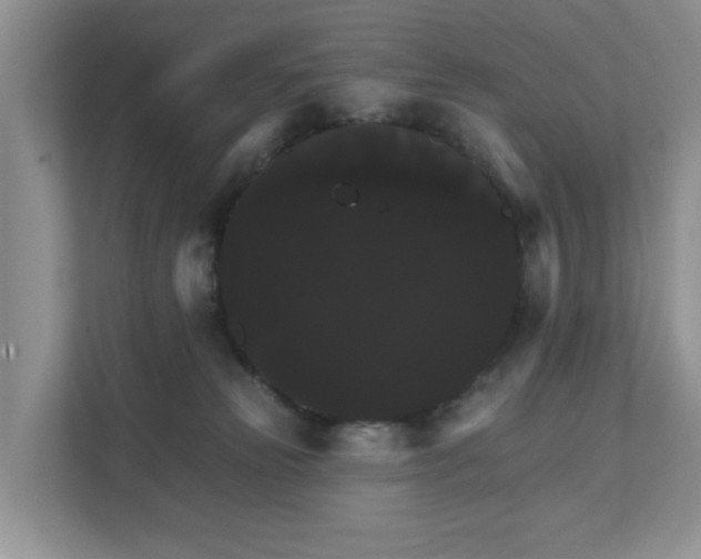 X0000111520181200907211231