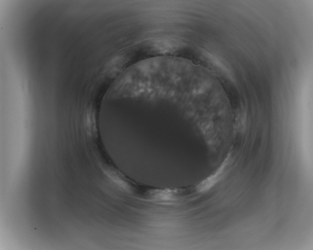 X0000111520182200907211231