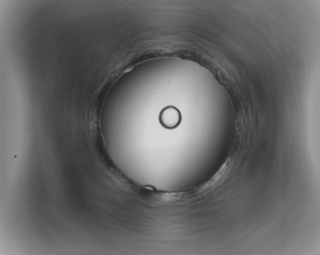 X0000111520184200907211231