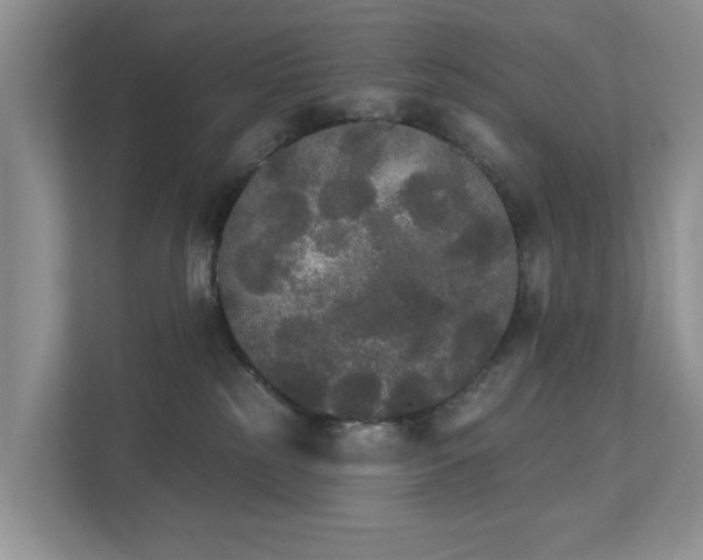 X0000111520185200907211231