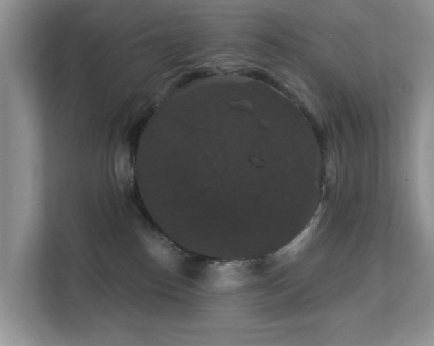 X0000111520186200907211231