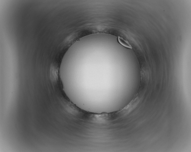 X0000111520188200907211231