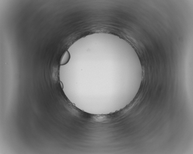 X0000111520189200907211231