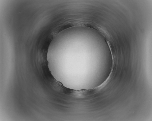 X0000111520190200907211231
