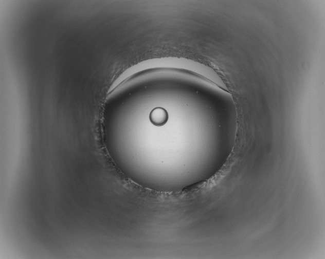 X0000111520192200907211231