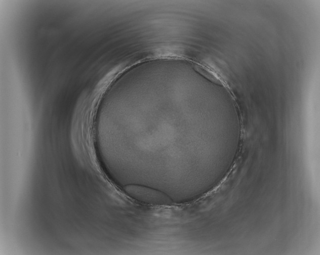 X0000111520193200907211231