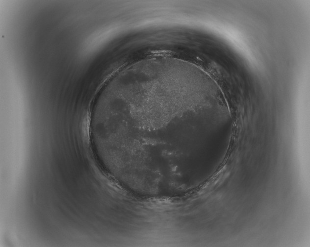 X0000111520194200907211231