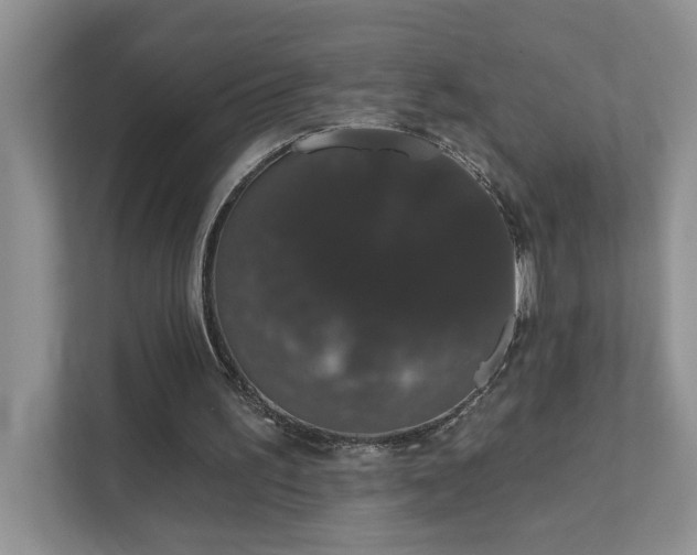 X0000111520195200907211231