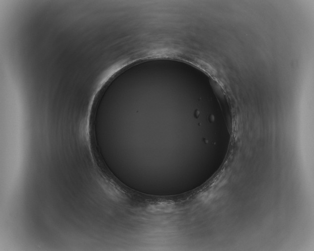 X0000111520196200907211231