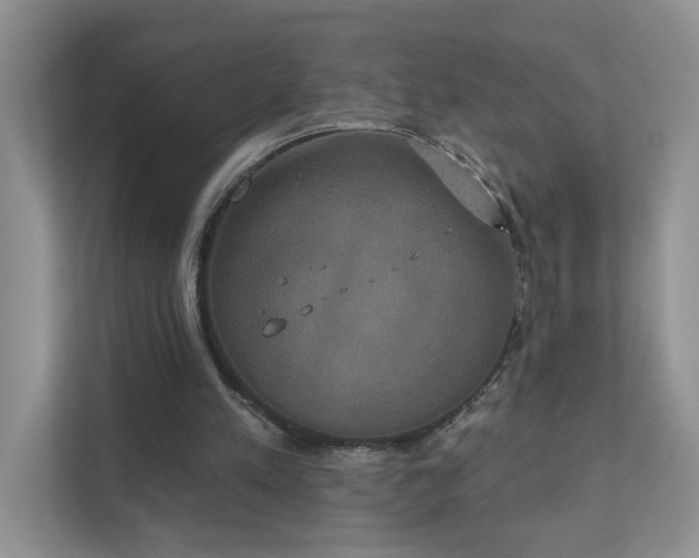 X0000111520197200907211231