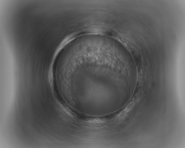 X0000111520198200907211231