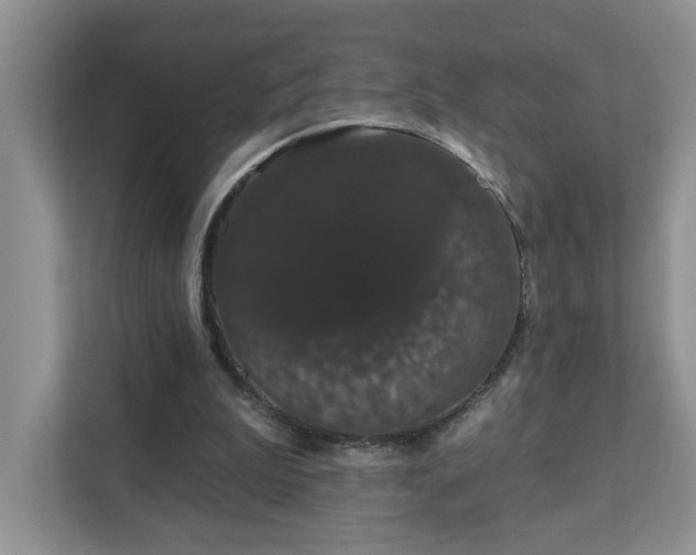 X0000111520199200907211231