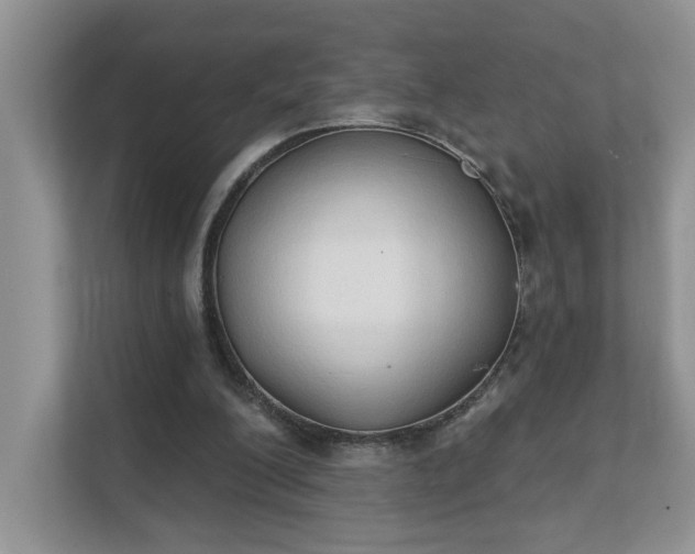 X0000111520200200907211231