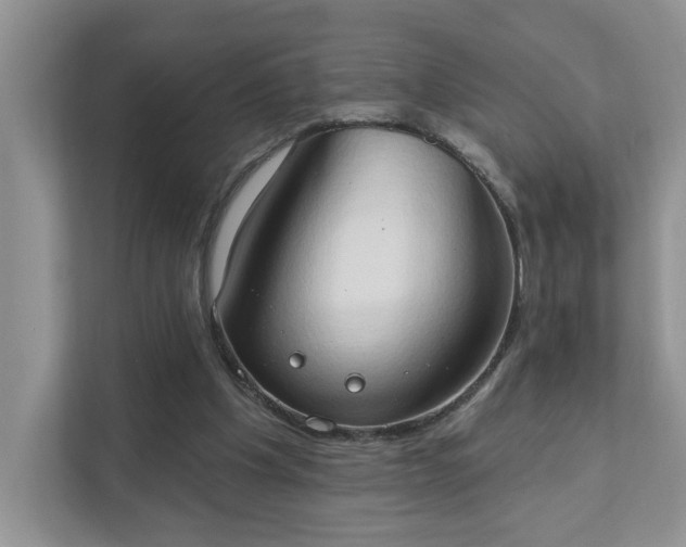X0000111520201200907211231
