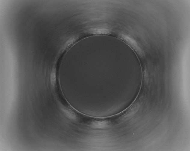 X0000111520202200907211231