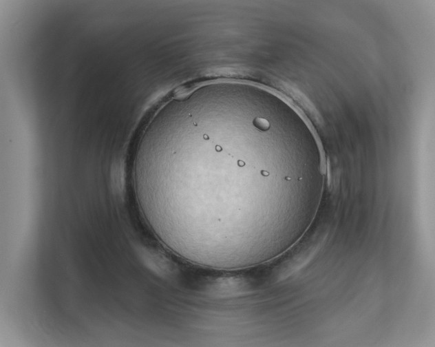 X0000111520204200907211231