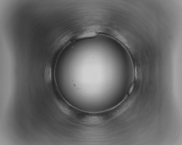 X0000111520205200907211231