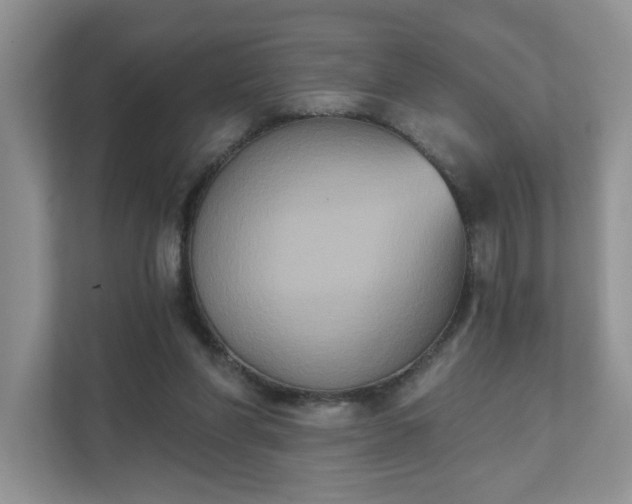 X0000111520206200907211231