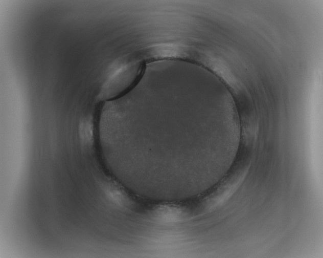 X0000111520207200907211231