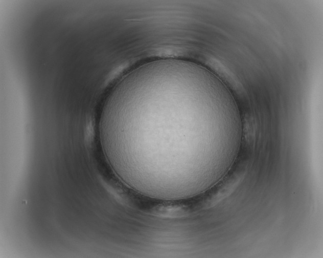 X0000111520208200907211231