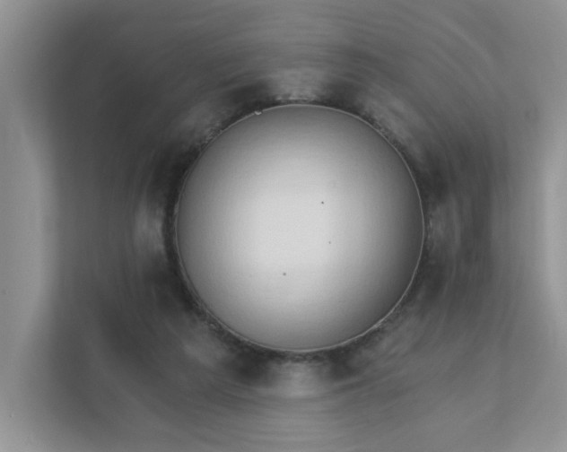 X0000111520209200907211231