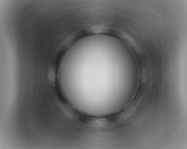 X0000111520210200907211231
