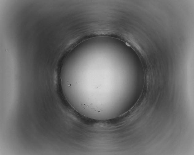 X0000111520211200907211231
