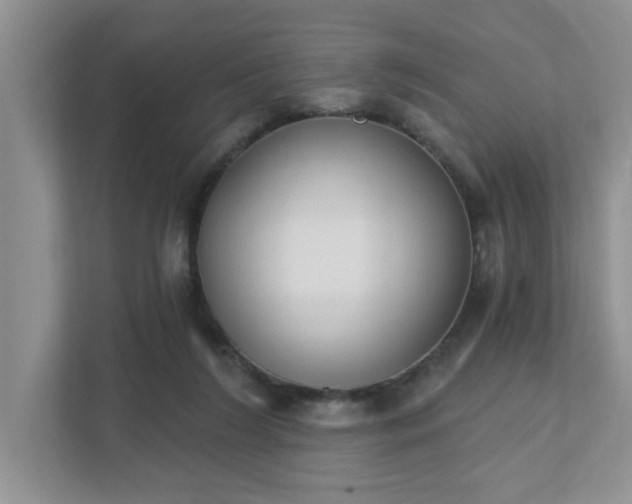 X0000111520212200907211231