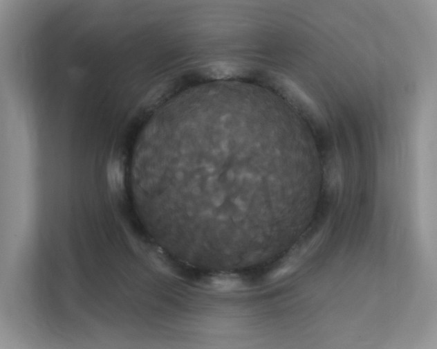X0000111520214200907211231