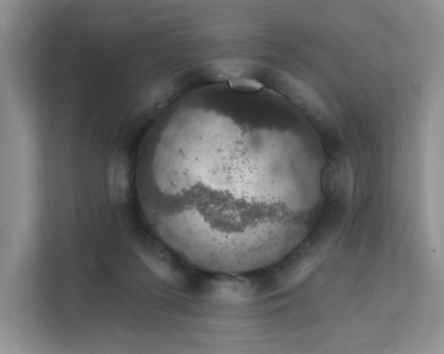 X0000111520215200907211231