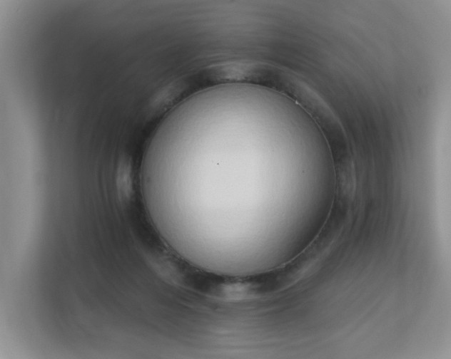 X0000111520216200907211231