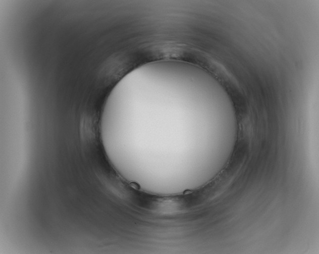 X0000111520218200907211230