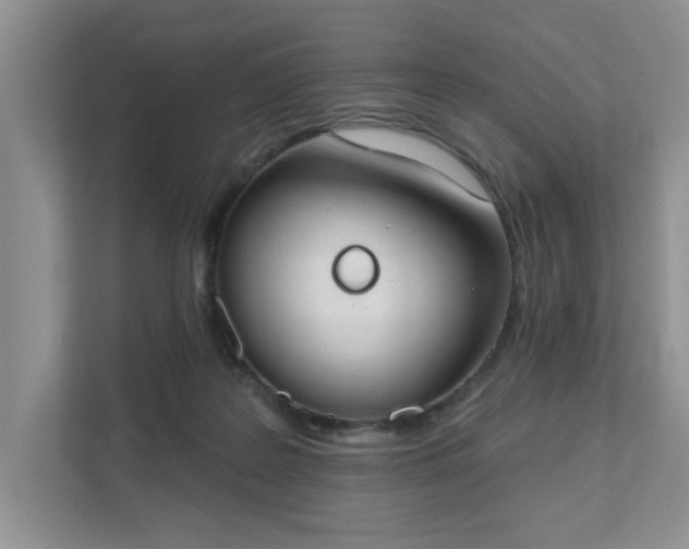X0000111520219200907211230