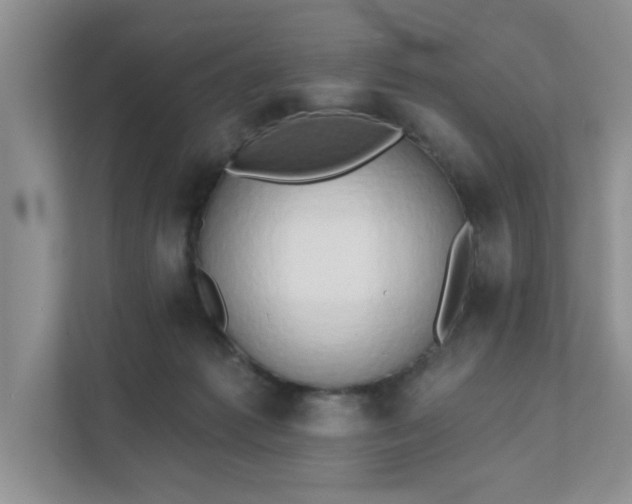 X0000111520221200907211230