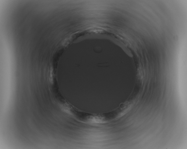 X0000111520223200907211230