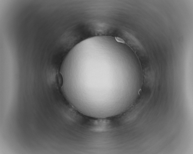 X0000111520225200907211230