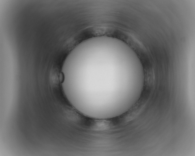 X0000111520226200907211230