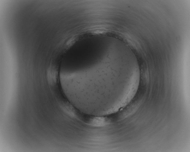 X0000111520227200907211230